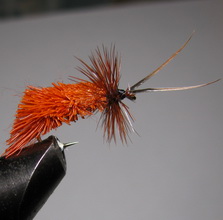 ���� Goddard Caddis Orange Kumho � 10